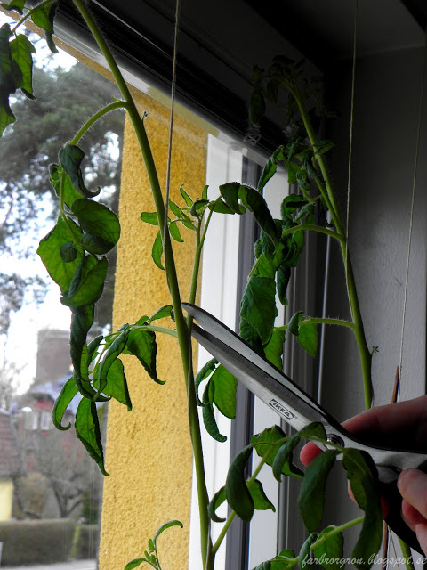 Det kanske ser brutalt ut