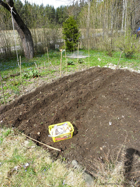 Köksträdgården på flera ställen