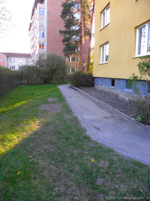 Ett stadsodlingsprojekt tar sin början. Del 1