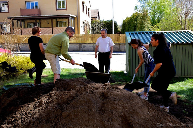 Jordförflyttningen till vår stadsodling