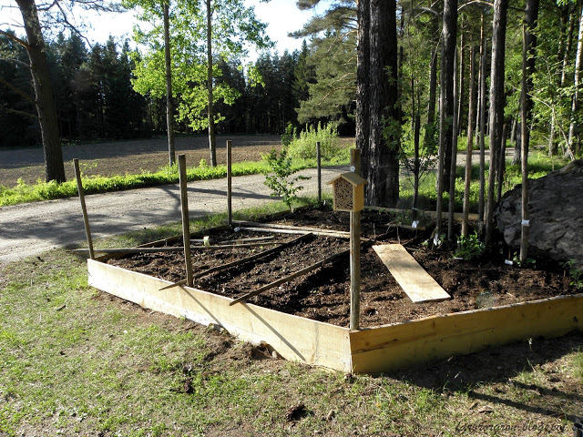 Stor upphöjd odlingsbädd med enkla medel