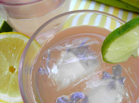 Rabarbersaft med citron
