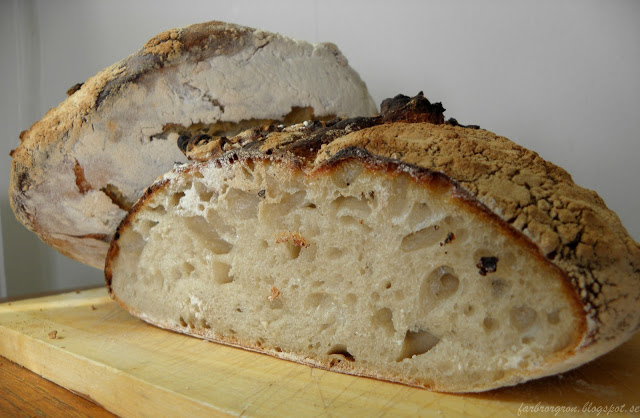 Levain vetesurdegsbröd ”Knådfritt”