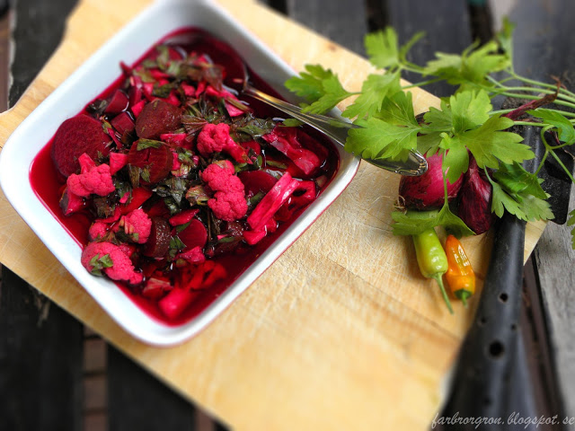 Trshi – Kurdisk rödbetssallad