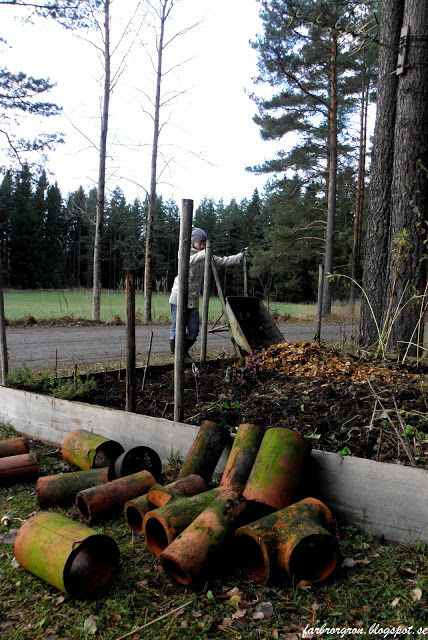 Novemberarbete i trädgården vid stugan
