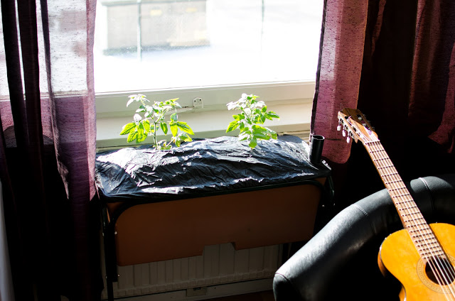 Earthboxes på olika ställen