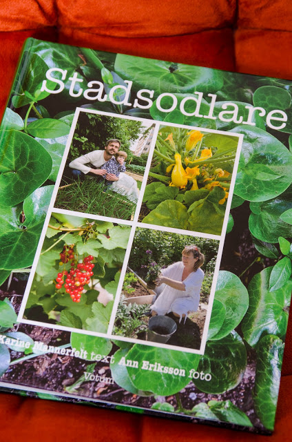 Stadsodlare