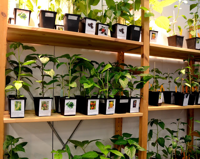 Trädgårdsmässan 2013 / Inspiration