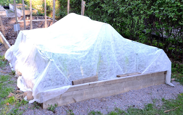 Stadsodlingen/ tillsammansodlingen