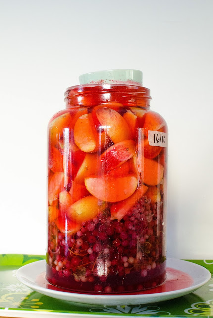 Äppelcidervinäger med vinbär / Göra själv