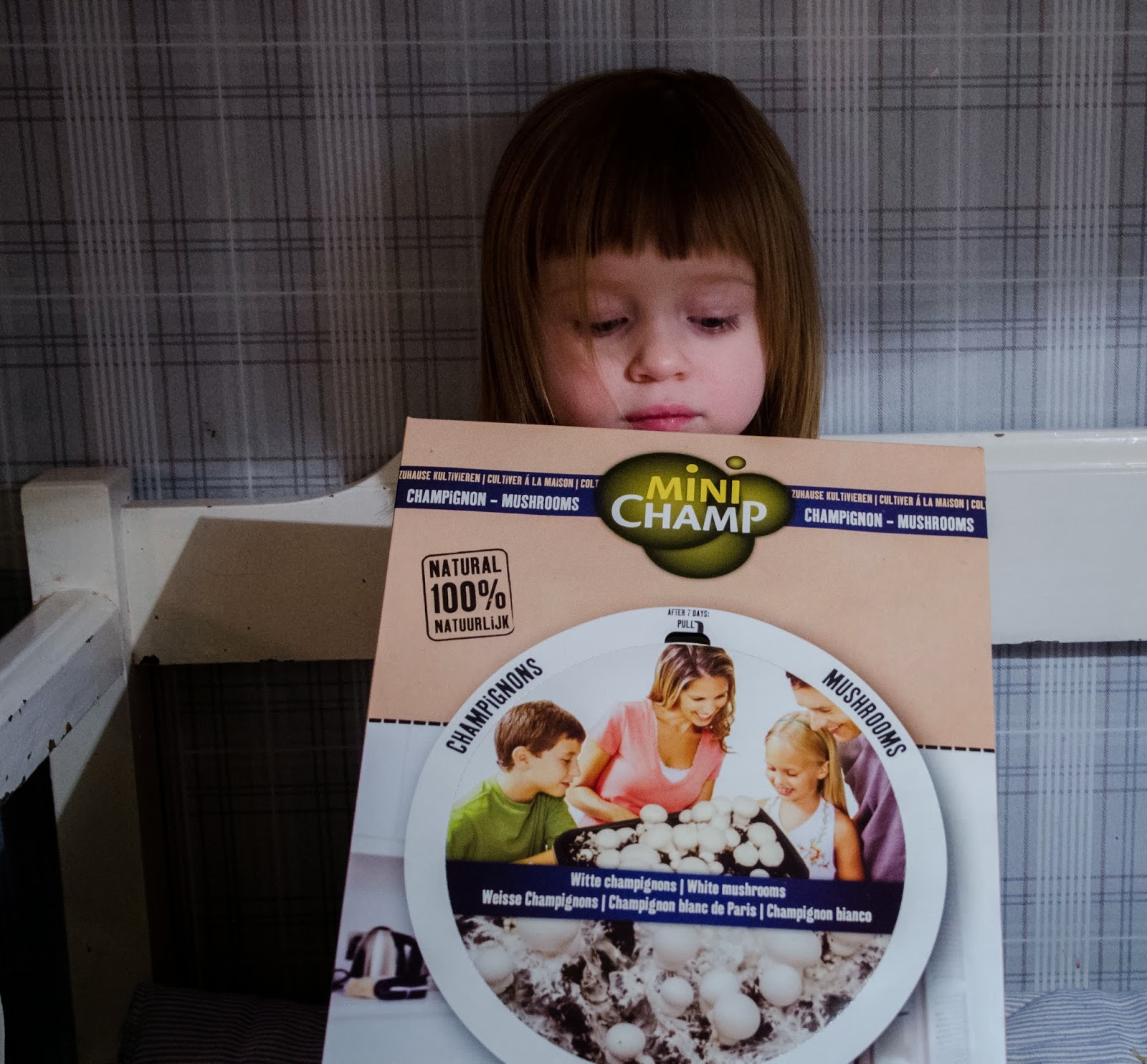 Champinjoner odla själv