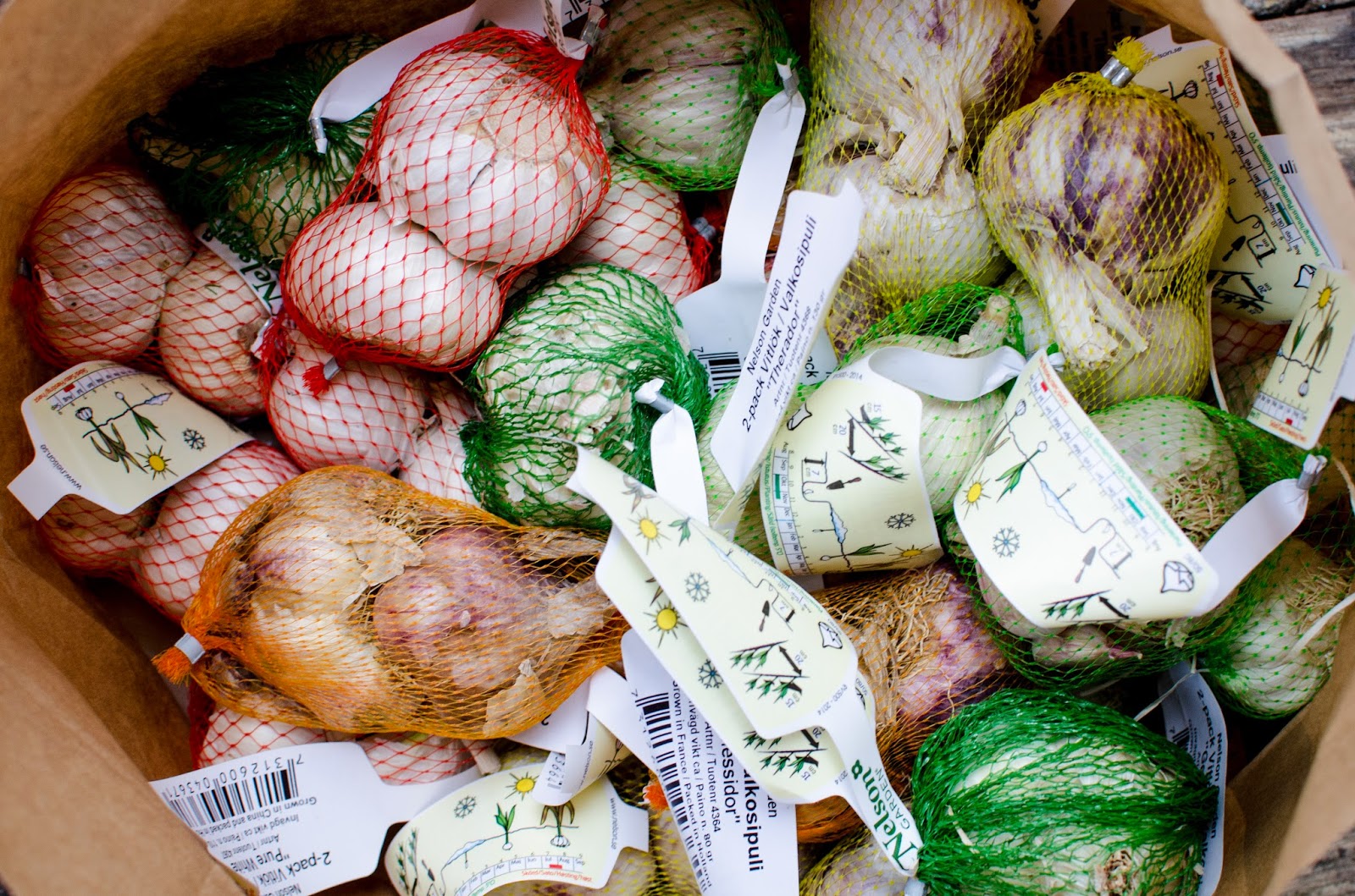 Vitlöken ska ner i jorden nu