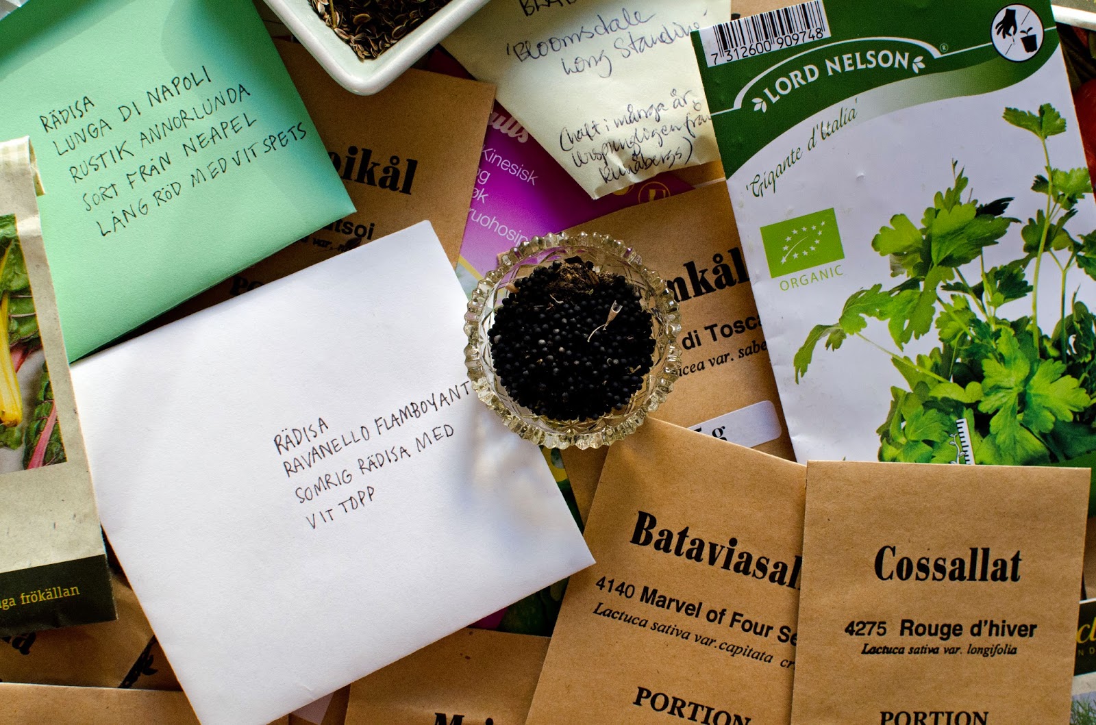 Vinterså dina grönsaker!