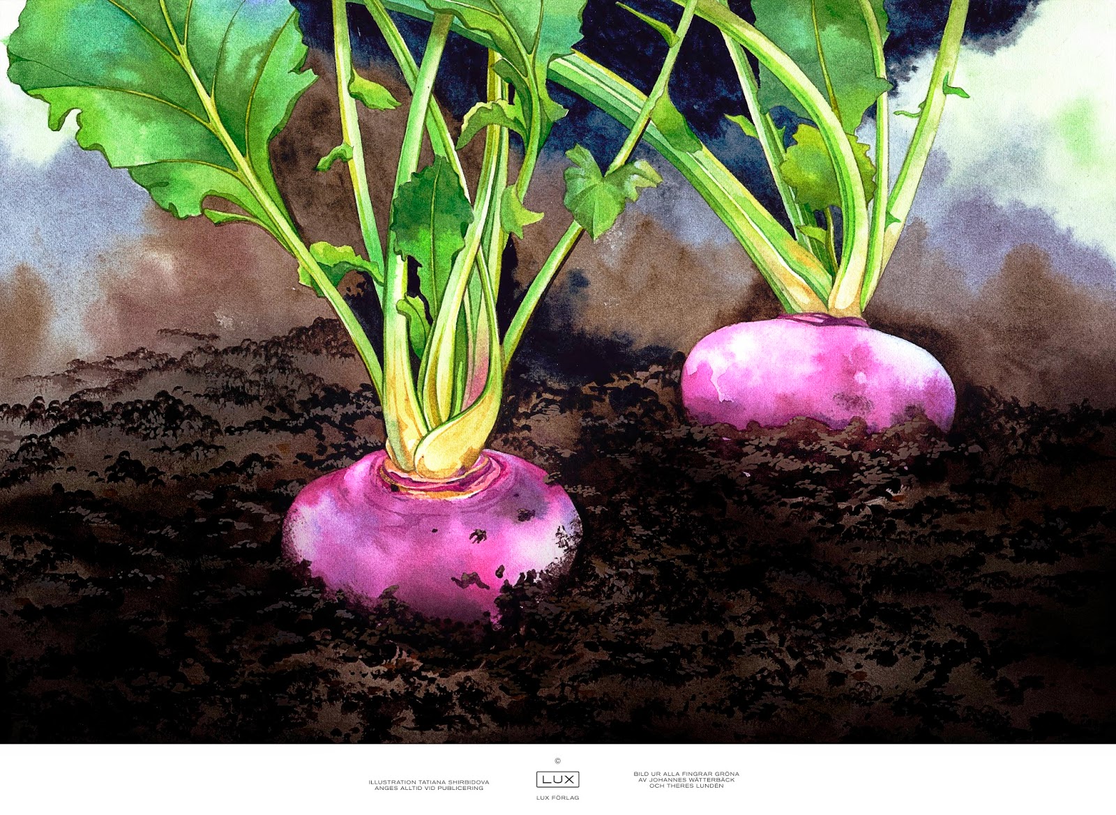 Välkomna till oss på Nordiska Trädgårdar