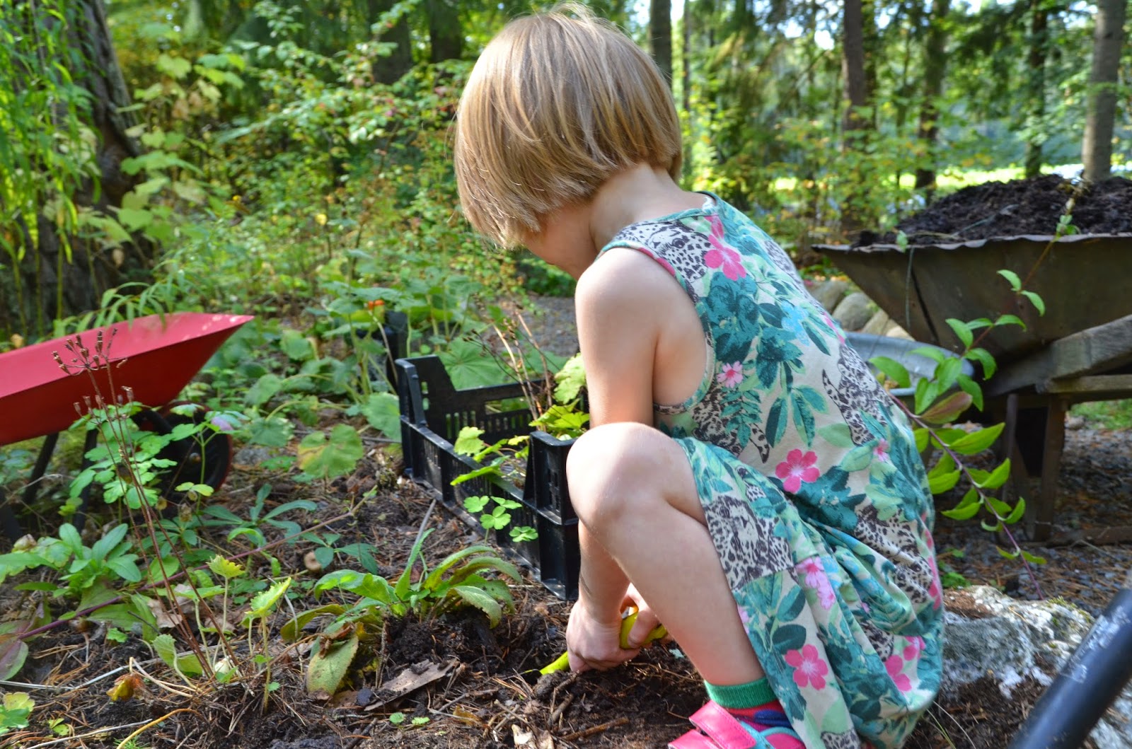 Jordförbättring hur gör man?