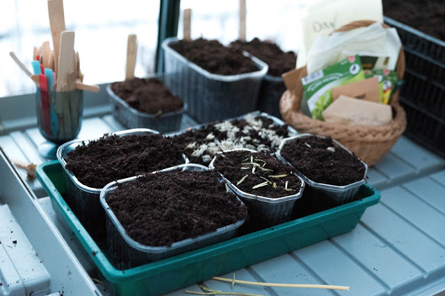 Kom igång med vintersådd