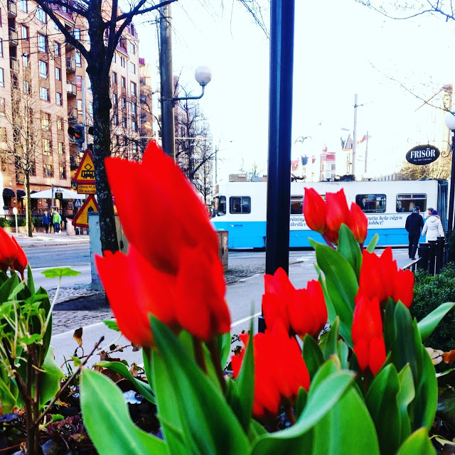 Farbror Grön på botaniska trädgården i Göteborg.