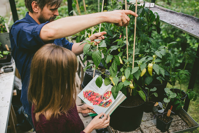 Farbror Grön på Nordiska Trädgårdar 2016