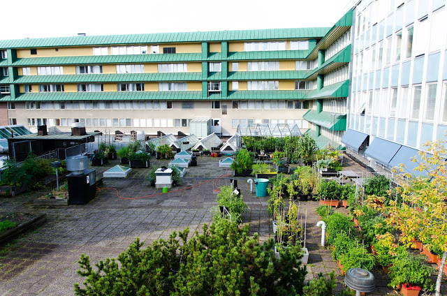 Öppet hus på Takfarmen 3 juli