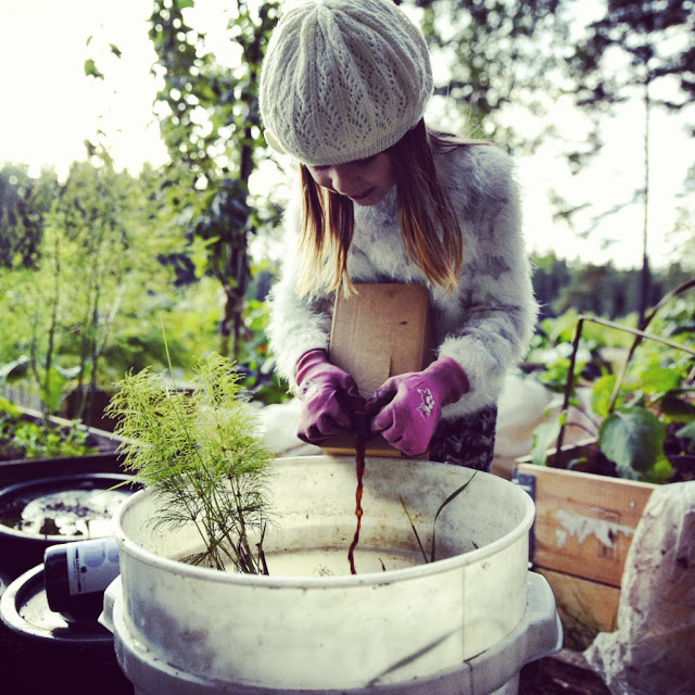Nässelvatten utan stank?