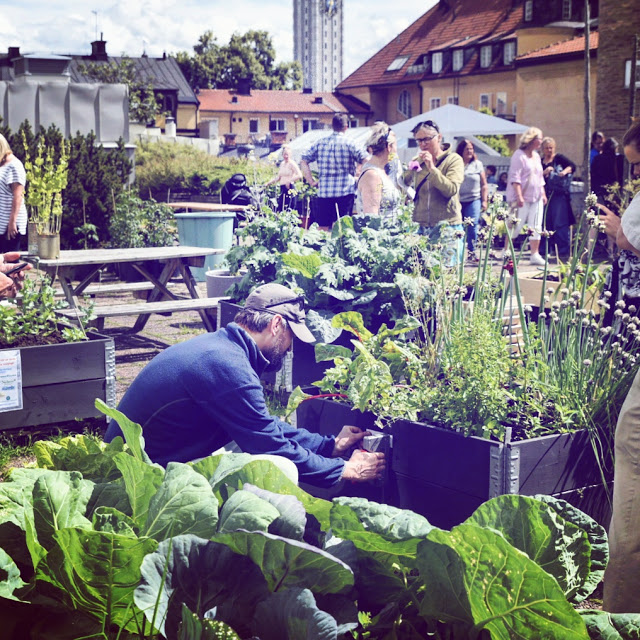 Tack för att ni kom till Takfarmen