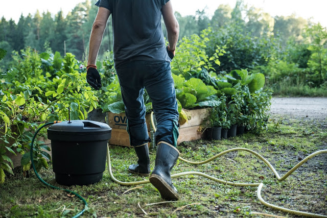 Gödselvattna under hösten