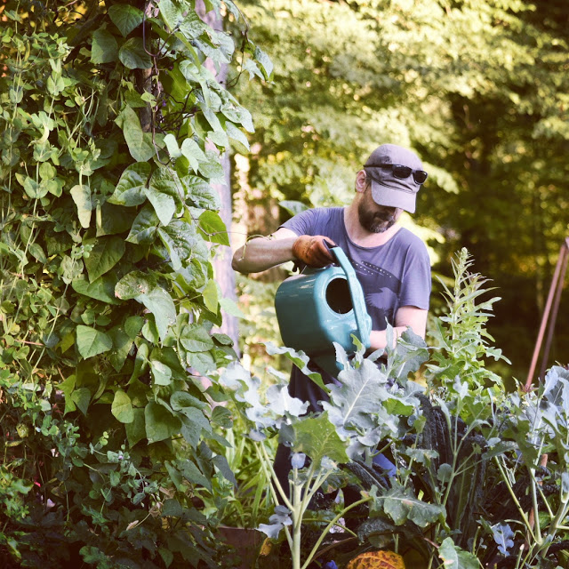 Föreläsning i Bollnäs på tisdag