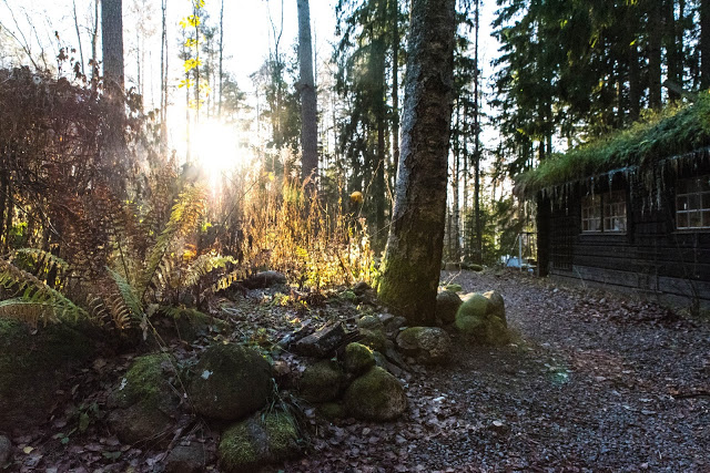 Jorden – en viktig del i mitt odlande