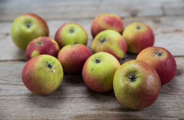 Vi gör äppelcidervinäger klyftmetoden