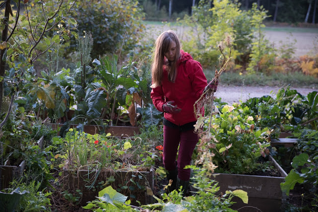 Förbered pallkragen på hösten Försök hitta bilderna på Theres
