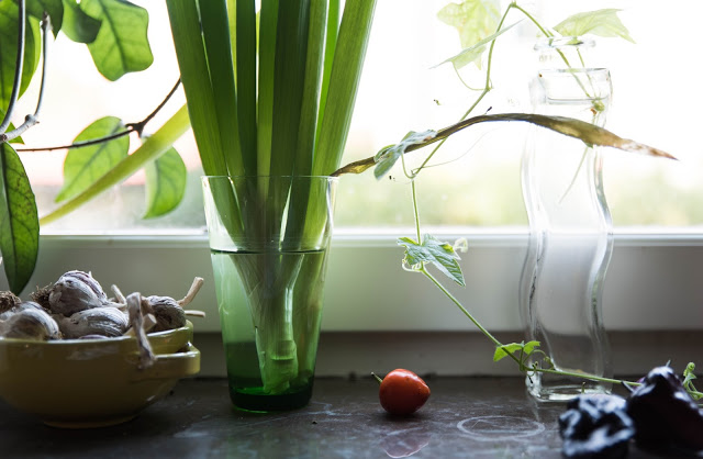 Håll skörden färsk länge