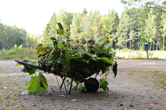 Vad städar vi bort och vad låter vi stå kvar?