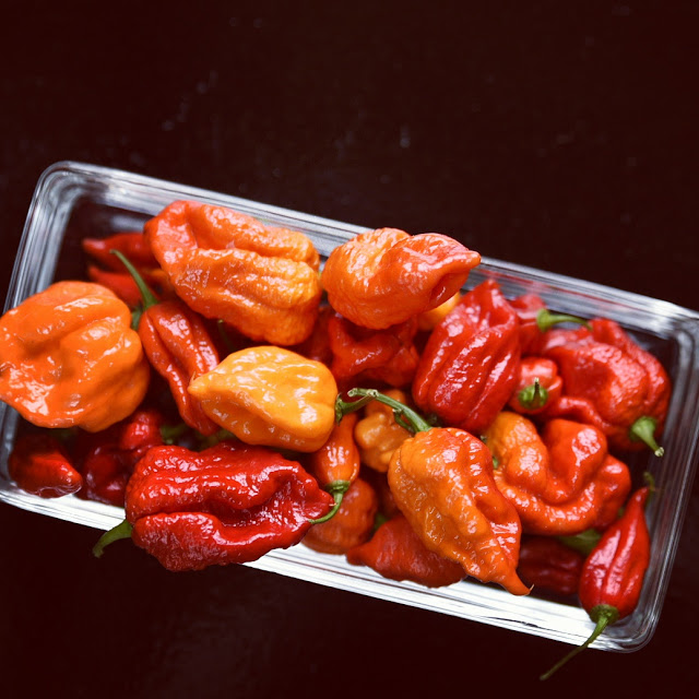Chili Bhut Jolokia