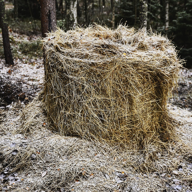 Odla med hösilage/ensilage