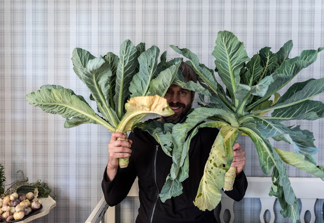 Lyssna till vårt nya poddavsnitt om blomkål