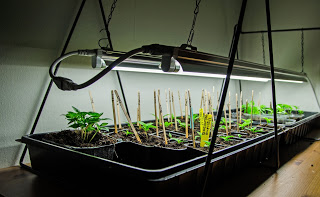 Så i mars – inomhus