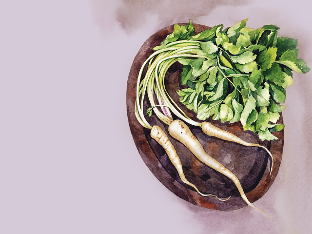 Palsternacka – skörd och lagring