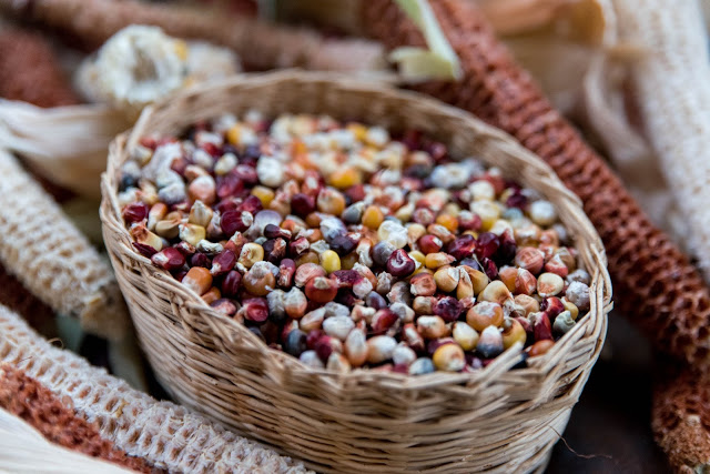 Vi odlar majs och gör eget mjöl