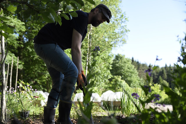 Förbättra jorden kontinuerligt