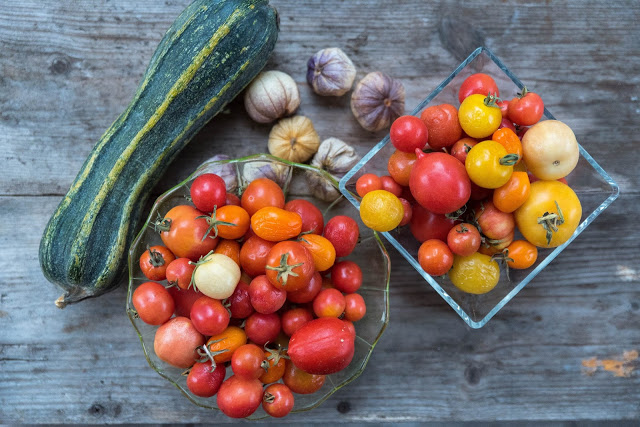 Vilka egenodlade grönsaker äter vi av nu under vintern?