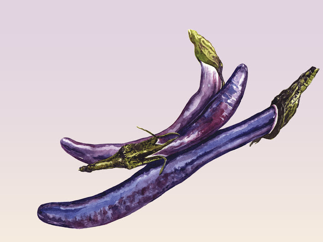 Aubergine – Dags att så den nu