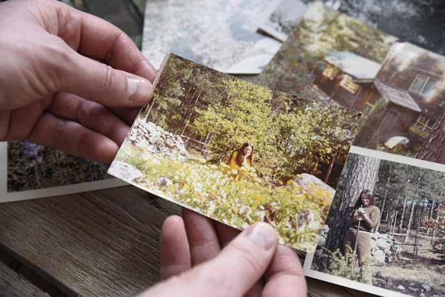 Mitt trädgårdsliv – den genetiska förklaringen och olyckan