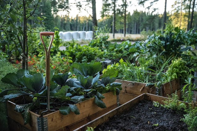 Poddavsnitt – Bygga jord