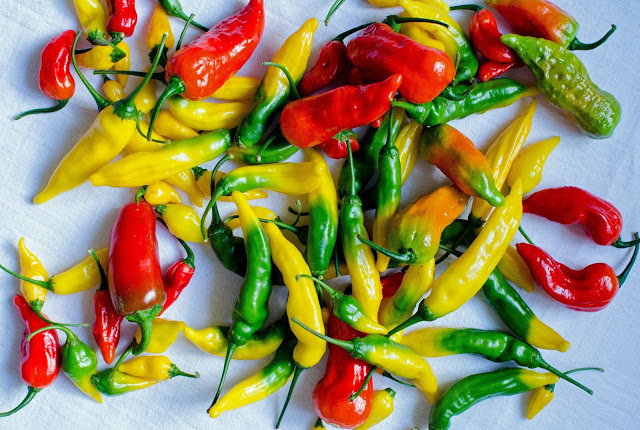 Farbror Grön i P1 meny