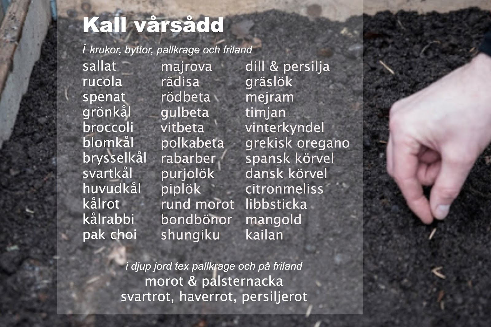Kall vårsådd