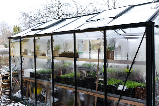 Vintersådderna i april – innan vintern kom tillbaka