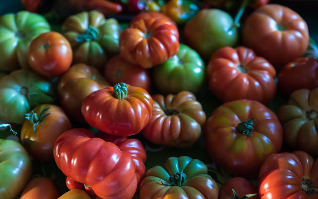 Mina värsta tomatproblem