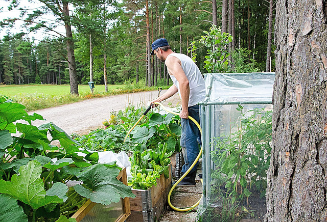 Poddavsnitt om lyckoträffar och bottennapp