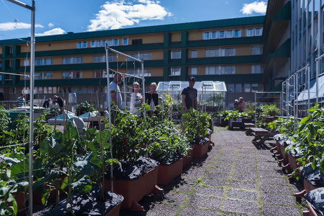 Takfarmen 31 augusti 2019