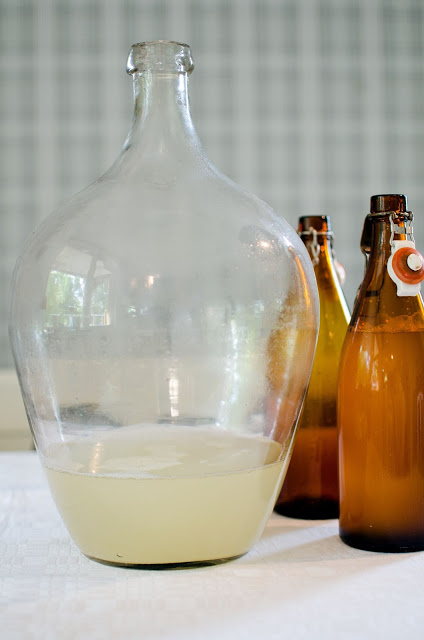 Flädercampagne – göra egen